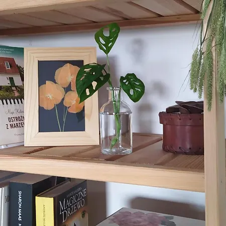 홈스테이 Na Wsi - Sauna I Jacuzzi