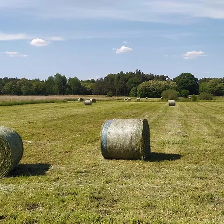 Na Wsi - Sauna I Jacuzzi 홈스테이 *