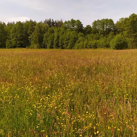 Privatunterkunft Na Wsi - Sauna I Jacuzzi