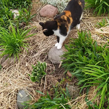 Na Wsi - Sauna I Jacuzzi 홈스테이 *