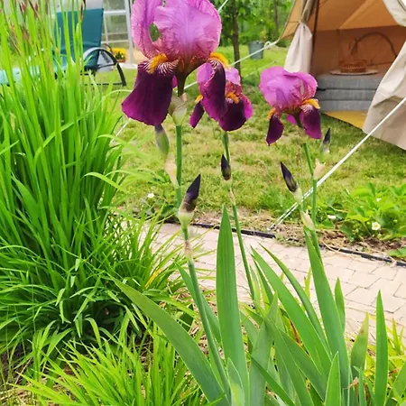 홈스테이 Na Wsi - Sauna I Jacuzzi Dabrowka (Wolomin)