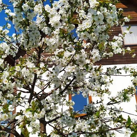 홈스테이 Na Wsi - Sauna I Jacuzzi Dabrowka (Wolomin)