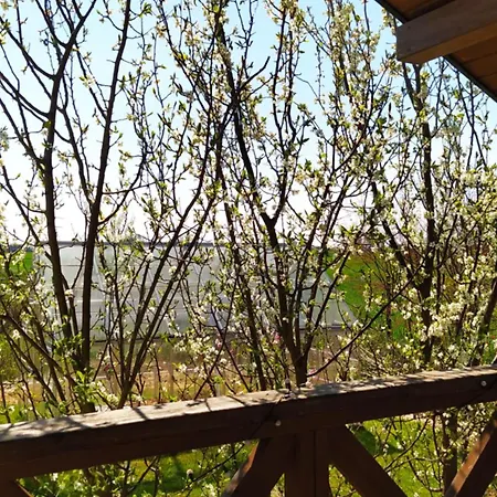 Na Wsi - Sauna I Jacuzzi Проживание в семье