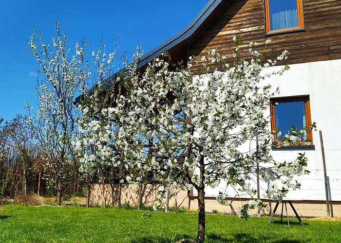 Na Wsi - Sauna I Jacuzzi منزل للإقامة